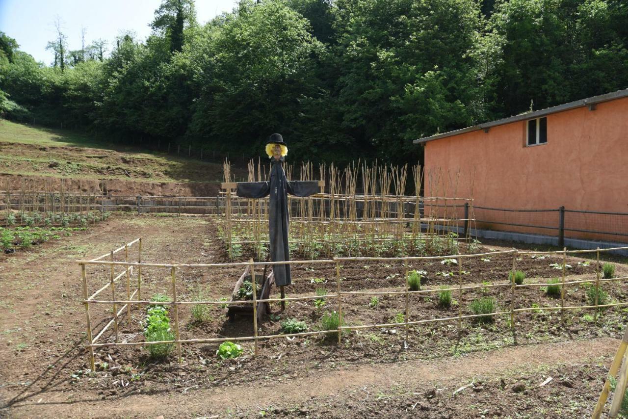 Agriturismo Casale Pepe Villa Palestrina Kültér fotó